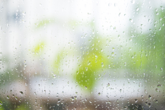 じめじめした梅雨でも快適に暮らせる！木の家の調湿効果についてご説明します！