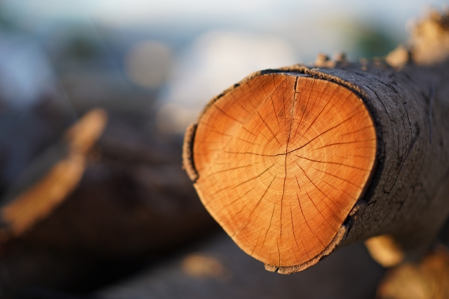 住宅にはどんな木材が使用される？種類ごとの特徴をご紹介します！