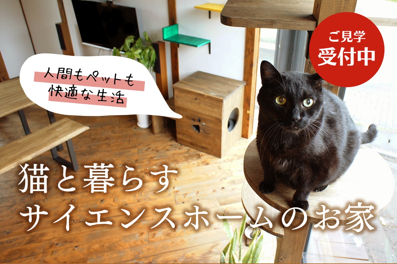 猫と暮らすサイエンスホームのお家