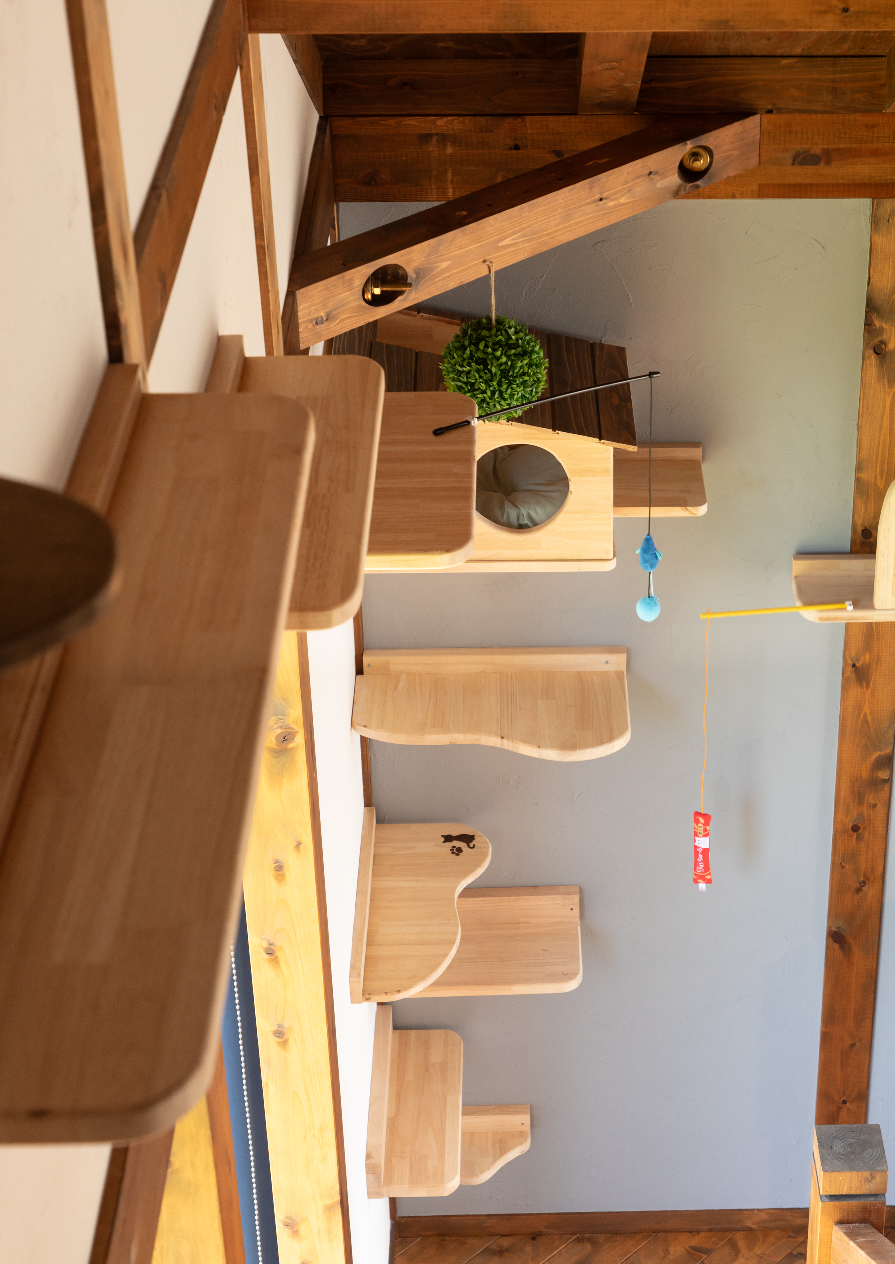 <?php echo $title; ?>