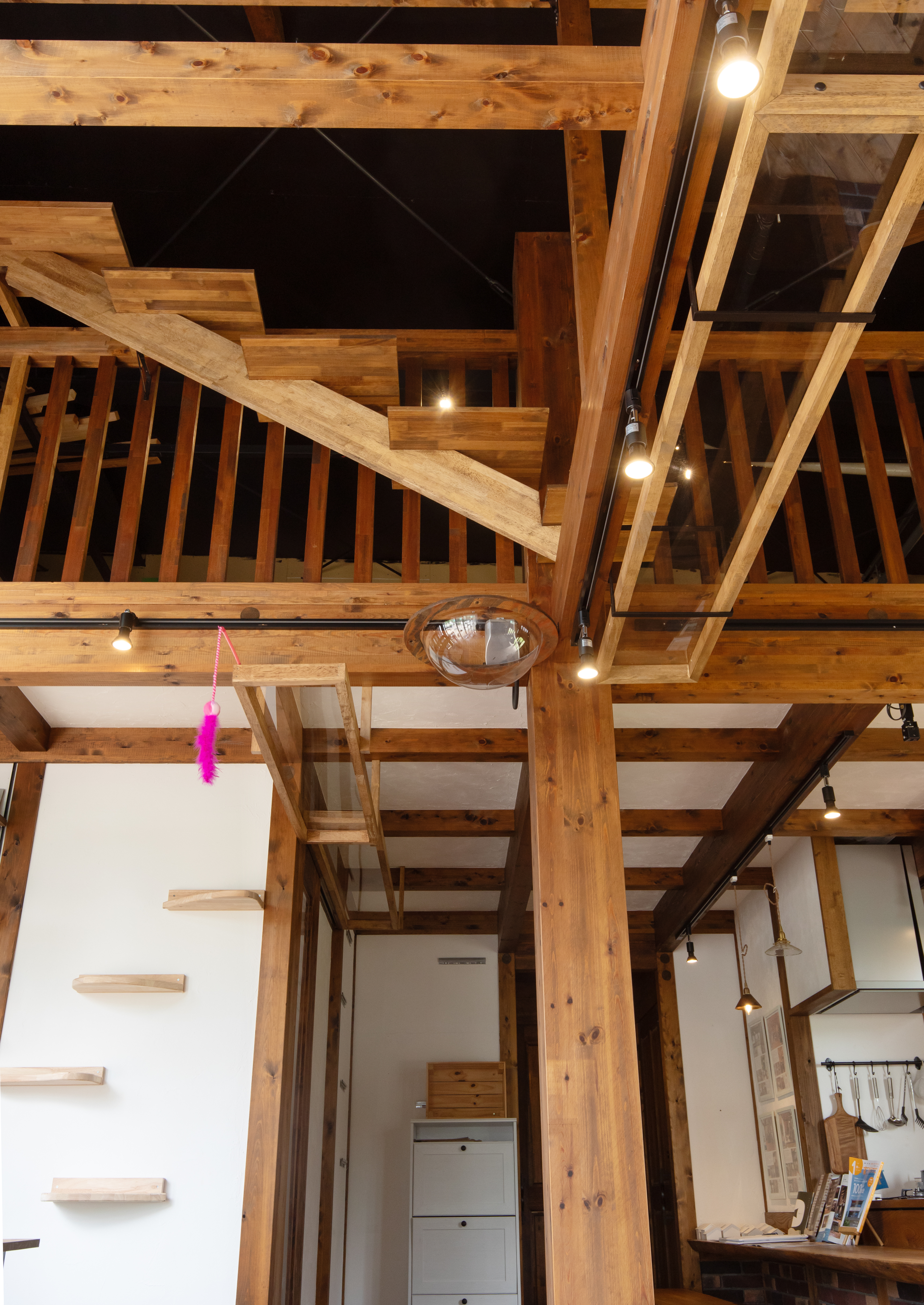 <?php echo $title; ?>