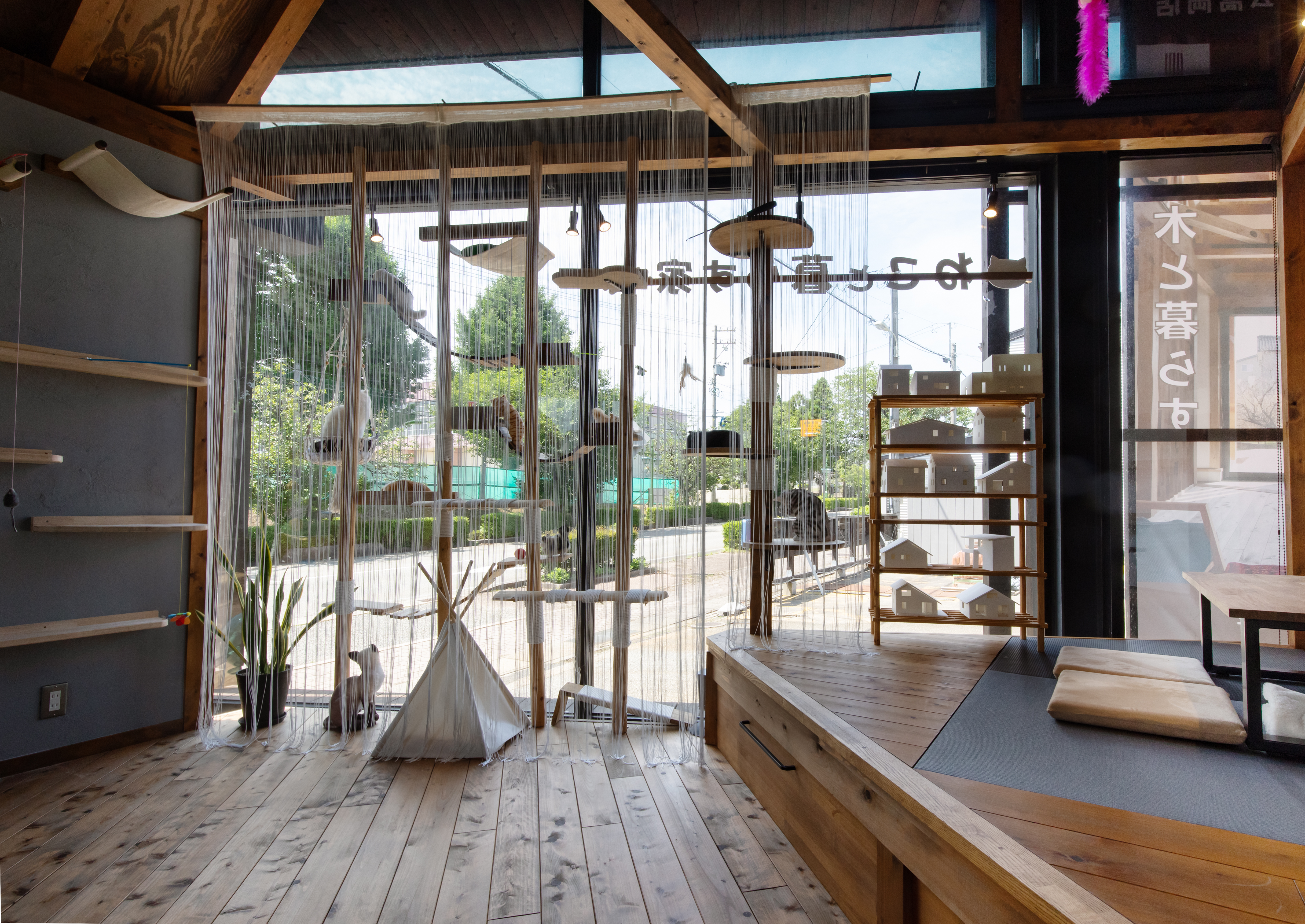 <?php echo $title; ?>