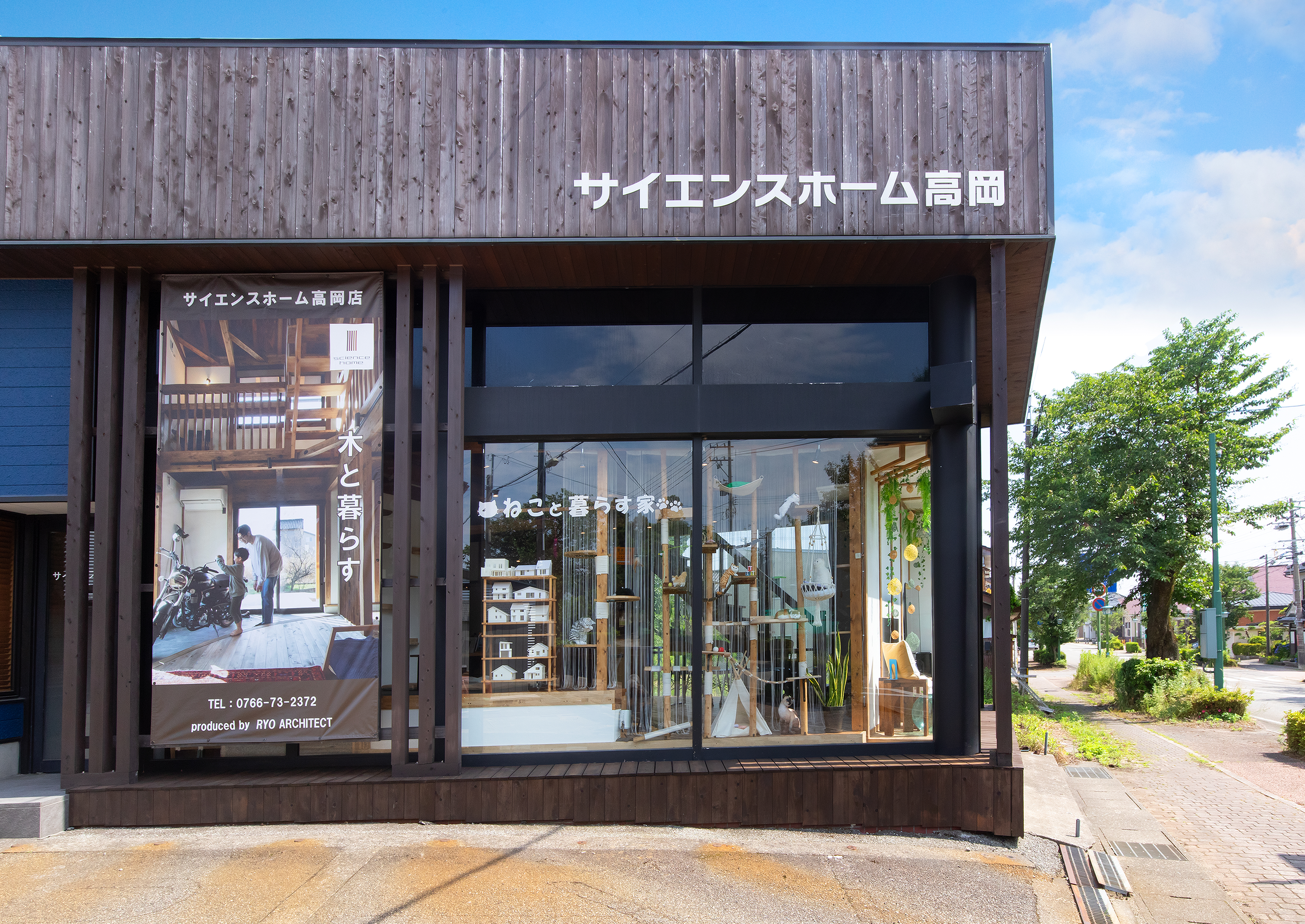 <?php echo $title; ?>